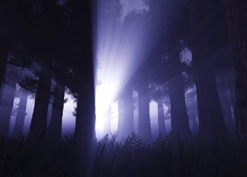 אודות במשך שנים מוכיח אורן זריף שכאשר החסימות האנרגטיות נפתחות הגוף מתחיל ליצור תהליך ריפוי וחוזר לאיתנו, על כך מעידים אלפי מטופלים