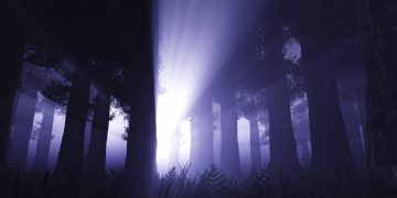 אודות במשך שנים מוכיח אורן זריף שכאשר החסימות האנרגטיות נפתחות הגוף מתחיל ליצור תהליך ריפוי וחוזר לאיתנו, על כך מעידים אלפי מטופלים