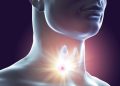 בעיות בבלוטת התריס  מהי בלוטת התריס? איפה היא ממוקמת ואילו בעיות בריאותיות עלולות להופיע בה? אורן זריף