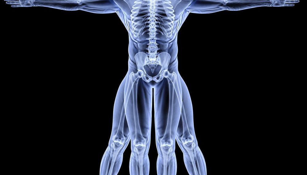 Body Stability