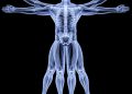Body Stability