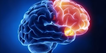 כוחו של תת המודע – אורן זריף