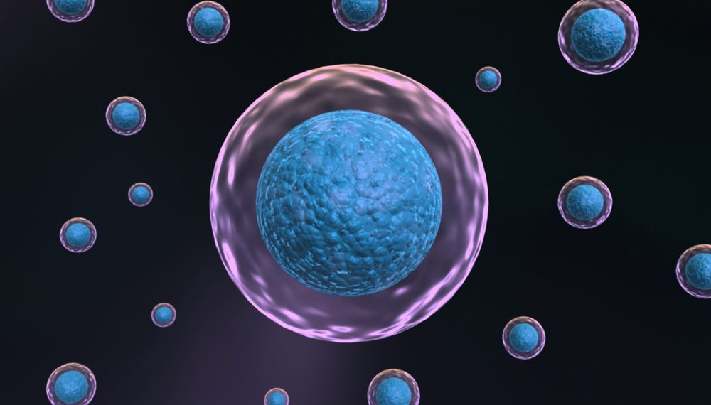 היווצרות הסרטן – אורן זריף