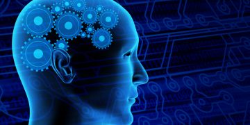 מה ההבדל בין אופטימיות לפסימיות? – אורן זריף