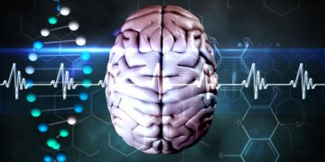 שלושה טיפים לעידוד כוחו של התת מודע – אורן זריף