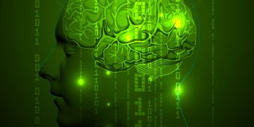 כיצד לעורר את כוחו של תת המודע שלך – אורן זריף